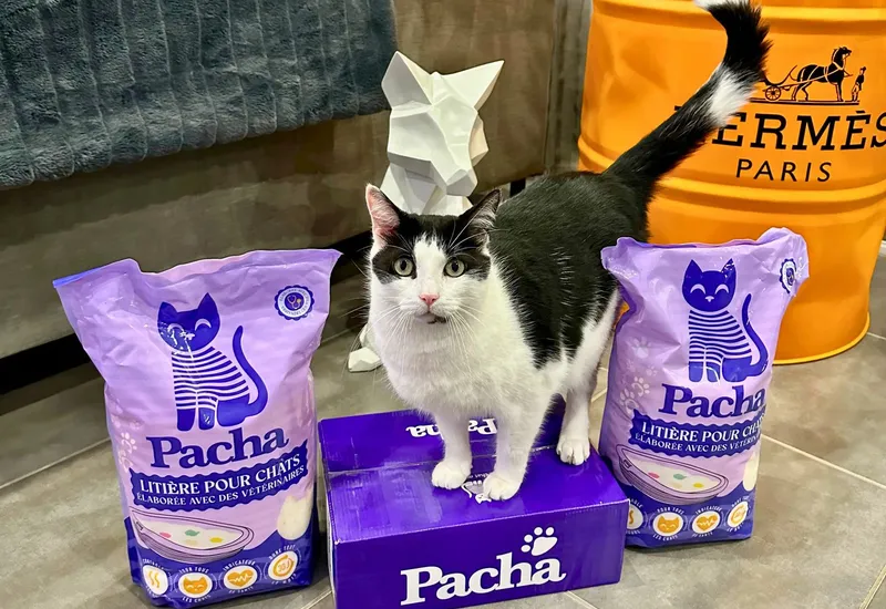 Sac de litière Pacha